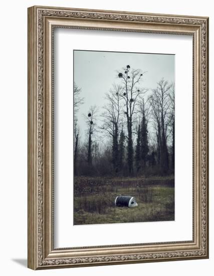 Roll of asparagus foil at the edge of a wood, lying in the grass-Axel Killian-Framed Photographic Print