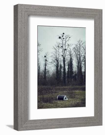 Roll of asparagus foil at the edge of a wood, lying in the grass-Axel Killian-Framed Photographic Print