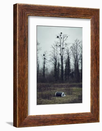 Roll of asparagus foil at the edge of a wood, lying in the grass-Axel Killian-Framed Photographic Print
