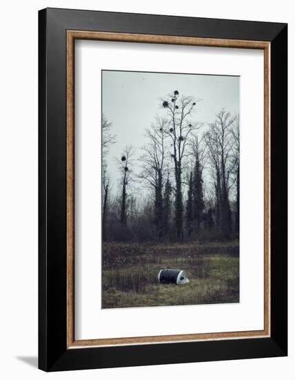 Roll of asparagus foil at the edge of a wood, lying in the grass-Axel Killian-Framed Photographic Print