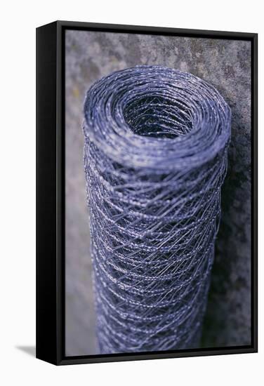 Roll of Chicken Wire-Maxine Adcock-Framed Premier Image Canvas