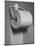 Roll of Toilet Paper, Illustrating the Shortage-Nina Leen-Mounted Photographic Print