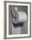 Roll of Toilet Paper, Illustrating the Shortage-Nina Leen-Framed Photographic Print