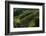 Rolle, Valdobbiadene, Veneto, Italy, Europe-Sergio Pitamitz-Framed Photographic Print