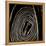 Rolled Hose-Lydia Marano-Framed Premier Image Canvas