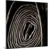 Rolled Hose-Lydia Marano-Mounted Photographic Print