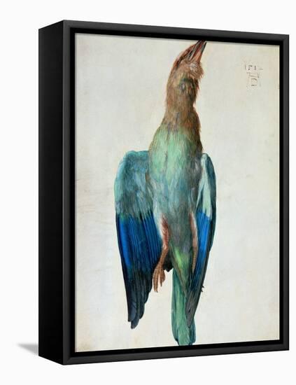 Roller (Bird), 1512-Albrecht Dürer-Framed Premier Image Canvas