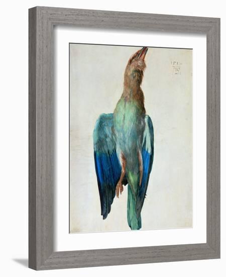 Roller (Bird), 1512-Albrecht Dürer-Framed Giclee Print