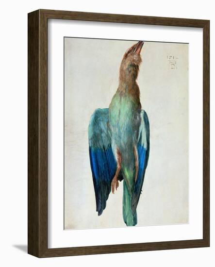 Roller (Bird), 1512-Albrecht Dürer-Framed Giclee Print