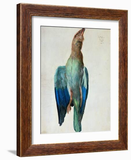 Roller (Bird), 1512-Albrecht Dürer-Framed Giclee Print