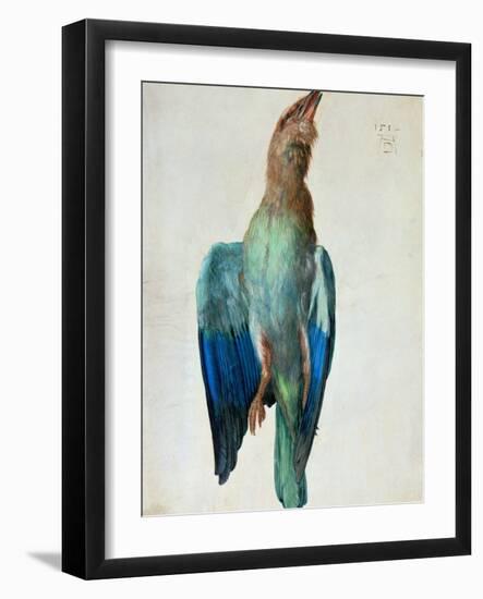 Roller (Bird), 1512-Albrecht Dürer-Framed Giclee Print