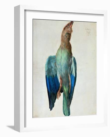 Roller (Bird), 1512-Albrecht Dürer-Framed Giclee Print