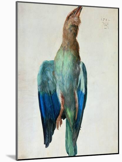 Roller (Bird), 1512-Albrecht Dürer-Mounted Giclee Print