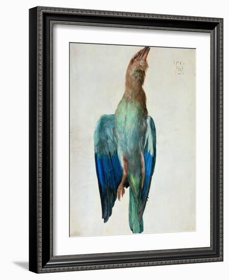 Roller (Bird), 1512-Albrecht Dürer-Framed Giclee Print