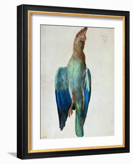 Roller (Bird), 1512-Albrecht Dürer-Framed Giclee Print