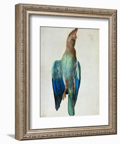 Roller (Bird), 1512-Albrecht Dürer-Framed Giclee Print