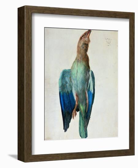 Roller (Bird), 1512-Albrecht Dürer-Framed Giclee Print