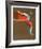 Roller Rocket-Jim Jonson-Framed Limited Edition