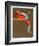 Roller Rocket-Jim Jonson-Framed Limited Edition