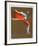 Roller Rocket-Jim Jonson-Framed Limited Edition