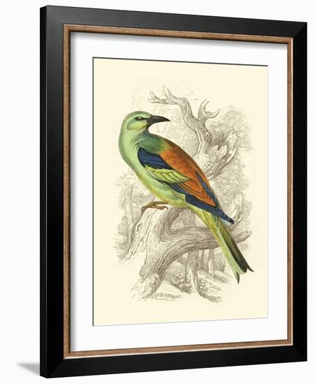 Roller-Sir William Jardine-Framed Art Print