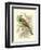 Roller-Sir William Jardine-Framed Art Print