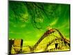 Photographic Print