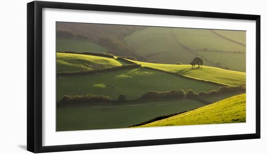 Rolling countryside near Oare, Exmoor National Park, Somerset, England. Autumn 2009.-Adam Burton-Framed Photographic Print