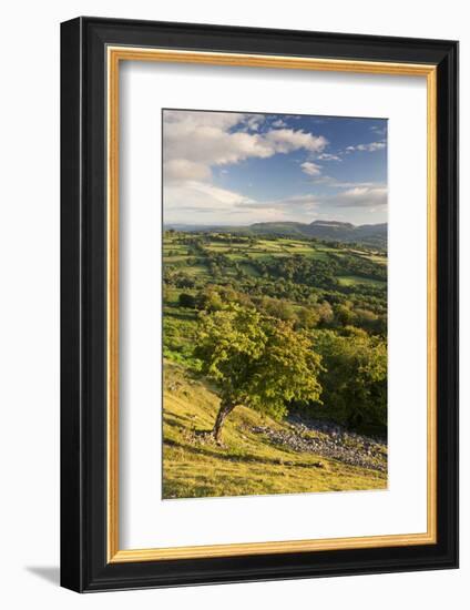 Rolling Countryside Surrounding the Usk Valley, Brecon Beacons National Park, Powys, Wales. Summer-Adam Burton-Framed Photographic Print
