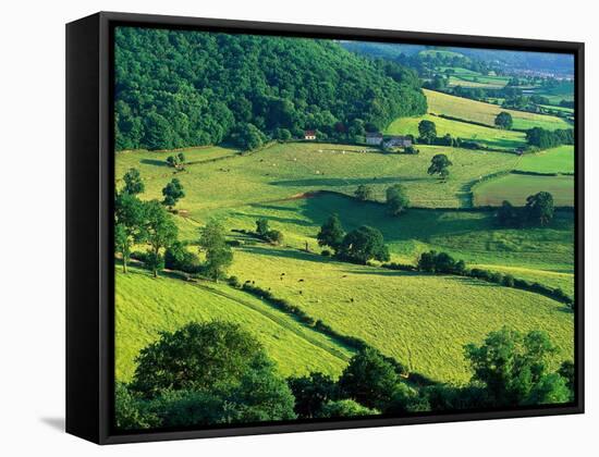 Rolling Countryside-Peter Adams-Framed Premier Image Canvas