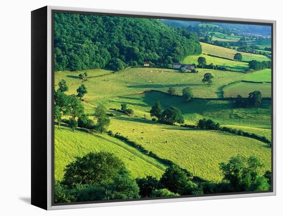 Rolling Countryside-Peter Adams-Framed Premier Image Canvas