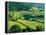 Rolling Countryside-Peter Adams-Framed Premier Image Canvas