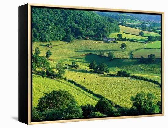 Rolling Countryside-Peter Adams-Framed Premier Image Canvas