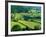 Rolling Countryside-Peter Adams-Framed Photographic Print