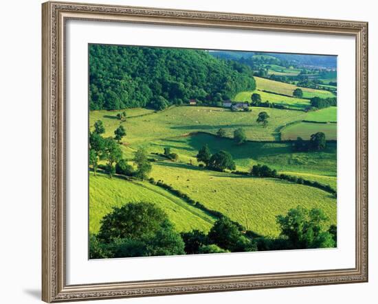 Rolling Countryside-Peter Adams-Framed Photographic Print