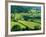 Rolling Countryside-Peter Adams-Framed Photographic Print