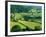 Rolling Countryside-Peter Adams-Framed Photographic Print