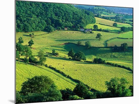 Rolling Countryside-Peter Adams-Mounted Photographic Print