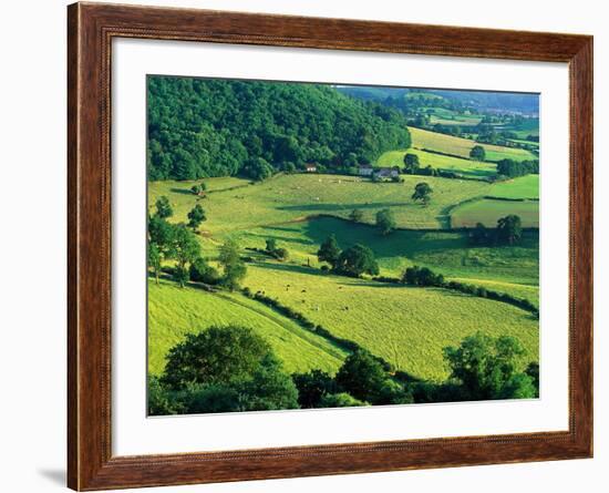 Rolling Countryside-Peter Adams-Framed Photographic Print