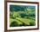 Rolling Countryside-Peter Adams-Framed Photographic Print