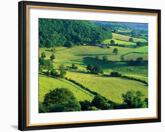 Rolling Countryside-Peter Adams-Framed Photographic Print