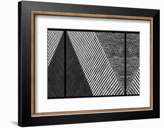 Rolling Dice-Paulo Abrantes-Framed Photographic Print