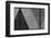 Rolling Dice-Paulo Abrantes-Framed Photographic Print