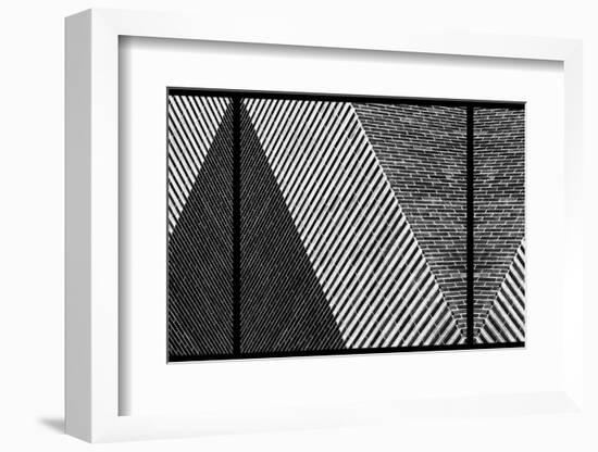 Rolling Dice-Paulo Abrantes-Framed Photographic Print