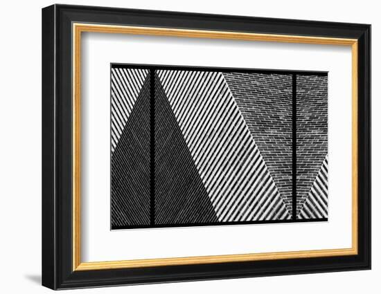 Rolling Dice-Paulo Abrantes-Framed Photographic Print