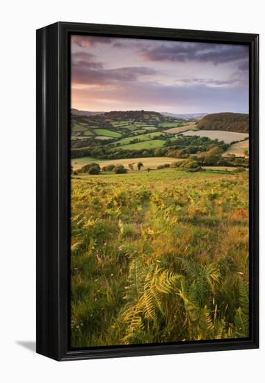 Rolling Dorset Countryside Viewed from Golden Cap, Dorset, England. Summer-Adam Burton-Framed Premier Image Canvas