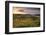 Rolling Dorset Countryside Viewed from Golden Cap, Dorset, England. Summer-Adam Burton-Framed Photographic Print