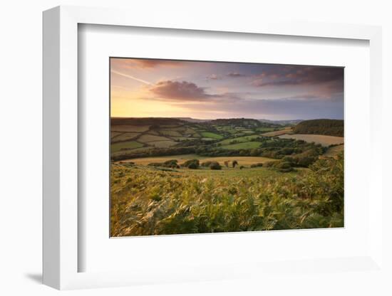 Rolling Dorset Countryside Viewed from Golden Cap, Dorset, England. Summer-Adam Burton-Framed Photographic Print