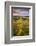 Rolling Dorset Countryside Viewed from Golden Cap, Dorset, England. Summer-Adam Burton-Framed Photographic Print