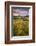 Rolling Dorset Countryside Viewed from Golden Cap, Dorset, England. Summer-Adam Burton-Framed Photographic Print